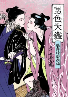 Nanshoku Ookagami: Kabuki Wakashu-hen cover