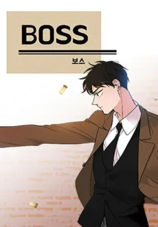 Boss cover