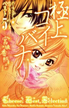 Gokujou Koibana: Perfect Love Stories Best 5 cover