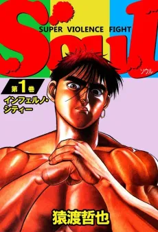 Soul cover