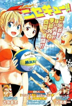 Nisekyu!! cover