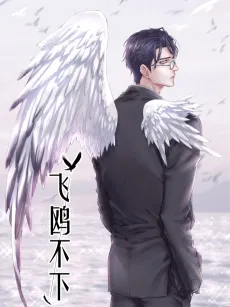 Flying Gulls Never Land cover
