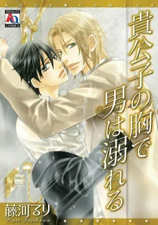 Kikoushi no Mune de Otoko wa Oboreru cover