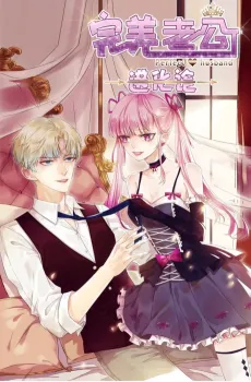 Evolution Of A Perfect Hubby cover