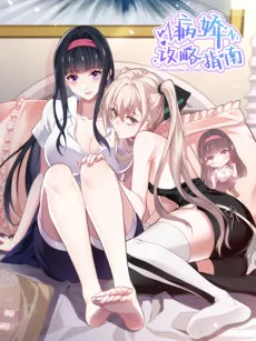 Bingjiao Gonglüe Zhinan cover
