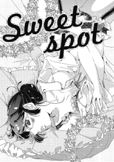 Sweet spot cover