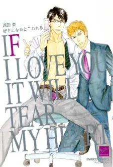 If I Love You It Will Tear My Heart cover