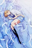 Escaflowne: A Girl in Gaea cover