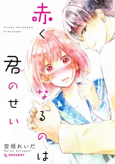 Akaku Naru no wa Kimi no Sei cover