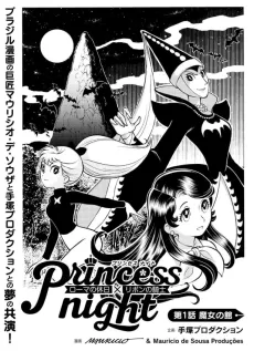 Princess Night cover