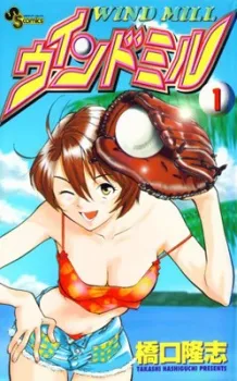 Wind Mill cover