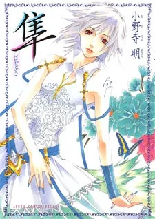 Hayabusa cover