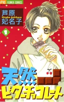 Natural Bitter Chocolate cover