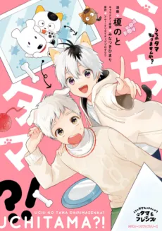 Uchitama?! Have you seen my Tama? cover