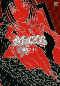 Maze cover