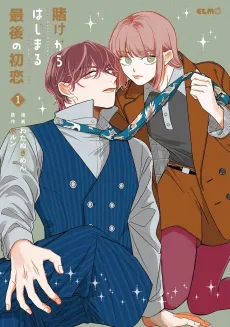 Kake kara Hajimaru Saigo no Koi cover