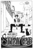 STRAY CAT cover