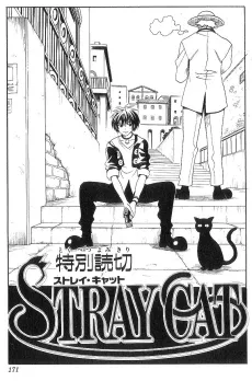 STRAY CAT cover