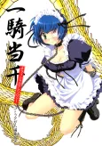 Ikkitousen Official Anthology cover