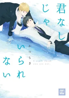 Kimi Nashi ja Irarenai cover