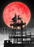 Bungo Stray Dogs 4 cover