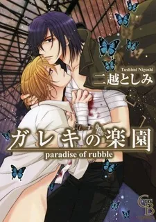 Paradise of Rubble cover