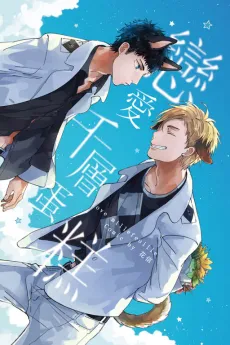 Lian Ai Qian Cheng Dan Gao cover
