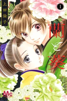 Ran to Aoi cover
