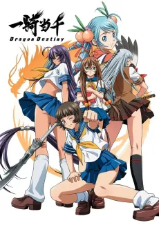 Ikki Tousen: Dragon Destiny cover