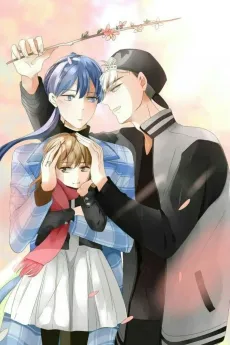 Fallen Star cover