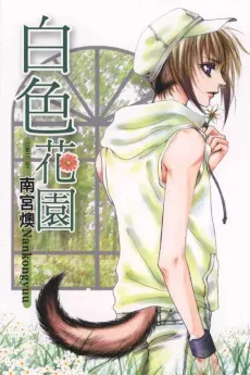 Baise Huayuan cover