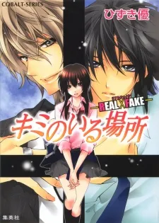 Kimi no Iru Basho - REAL×FAKE cover