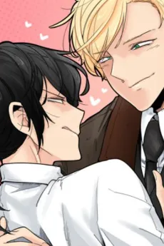 The Bakery of the Chick and the Angel cover