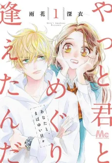 Yatto Kimi to Meguriaetanda cover