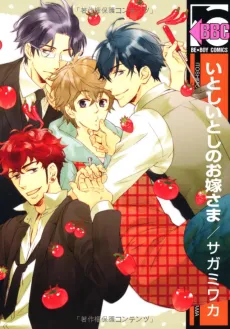 Itoshii Toshi no Oyome-sama cover