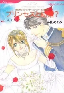 An Officer and a Princess cover