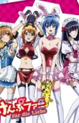 Kämpfer für die Liebe cover