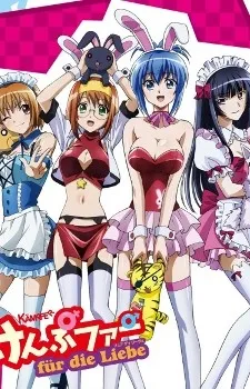 Kämpfer für die Liebe cover
