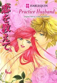 Practice Husband cover