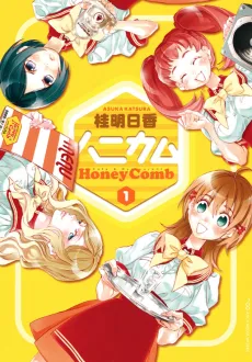 Honey Comb cover