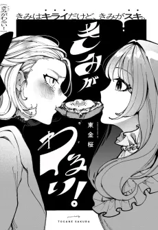 Kimi ga Warui! cover