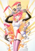 Otaku no Video cover