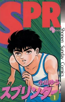 Sprinter cover