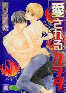 Aisareru Karada cover