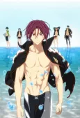 Free! -Timeless Medley- The Promise cover