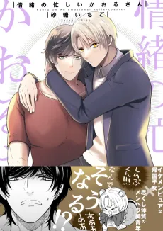 Kaoru On An Emotional Rollercoaster cover