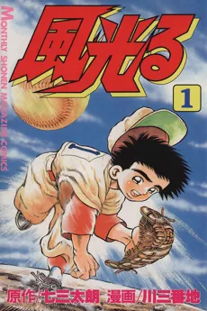 Kaze Hikaru cover