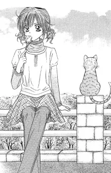 Travel To The Cats' Territory cover