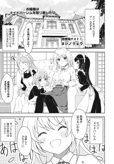 Ojousama wa Maid Harem wo Torimodoshitai cover