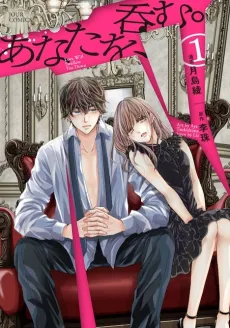 Anata wo, Nomu cover
